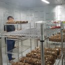 용현1,4동 주민센터 이미지