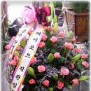 여성메디파크병원 이미지