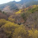 6-26년 03월 21일 토요일(구례 산수유라이딩)-52km 이미지