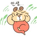 에스투어주 이미지