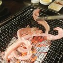 바다산꼼장어 이미지