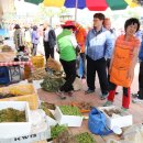 함양토종약초 이미지