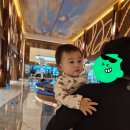 인스파이어 스플래시 베이 할인 아기튜브 반입 규정 물놀이 꿀팁