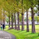 부산진구-2 이미지