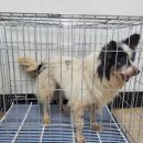 해밀예당3로 37 이미지