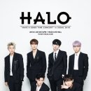 헤일로