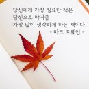 PABLO 책 선택에 대한 명언 24 이미지