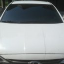 상주손세차 이미지