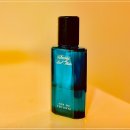 대양에너지 | [남자 향수 추천] Davidoff Cool Water: 상쾌함과 남성미의 아이콘