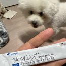 쭈니동물병원 이미지