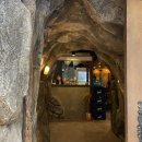 너구리 소굴 이미지