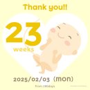 (주)효성팀버(1종) | [23주차] 일상 : 입체초음파, 수채화 컬러링 미술 태교, 트립홀릭, 소고기, 바지락 파스타