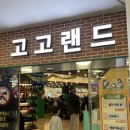 실내롤러스케이트장 | 아이 생일주간, 실내 롤러스케이트장 고고랜드방문 후기