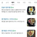 이플 이미지
