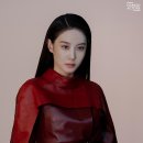 레드빈 이미지