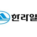 제주 도련동 귤나무류 이미지