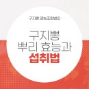 천목법인