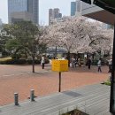 계산성당 앞 | 🌸 대구 계산성당 앞 카페 추천, 명가치노 솔직후기 (딸기명가치노 vs 아이스 명가치노)