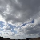 안씨목장 | 제주 DAY 3 성이시돌목장 오설록 김선문 금오름