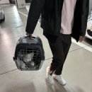 마음편한동물약국 이미지