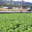 강원특별자치도 영월군 주천면사무소 이미지