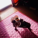 은하민박 이미지