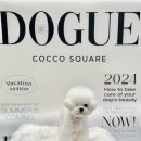 코코스퀘어 애견미용 이미지