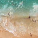 Team Corn Field 이미지