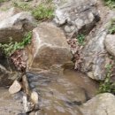 국사봉낚시터 이미지