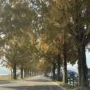 창평성심치과의원 이미지