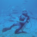 한국수산질병관리원 이미지