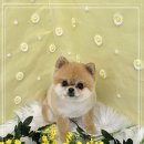 코트니룸 이미지