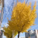 문의(영덕)휴게소 편의점 | 포항 영덕 고속도로 개통 l 영덕휴게소에서 점심 식사 후기