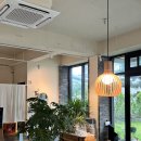 놀커피(Knoll coffee)