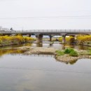 담양고등학교 이미지