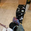 대명 현대 카서비스 | [괌] 괌 여행의 시작 렌터카 예약, 서비스 좋은 한인 렌터카 업체 해피렌터카 내돈내산 후기