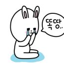 무양반려동물병원 이미지