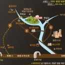 캠핑아일랜드 이미지