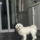 GS25일곡청솔점 | 분당 청솔마을 9단지 2년 실거주후기 장단점