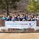 금천24시 K동물의료센터 이미지