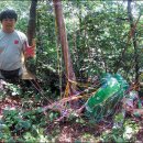 내송1리(숫돌고개) | 파주의 고인돌