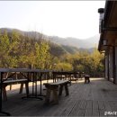 최명식농장 이미지