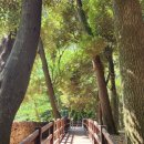 시민회관 (삼성초등학교방면) 이미지