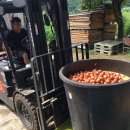 충북농장 이미지