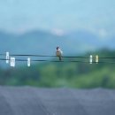 하늘닿은농장 이미지