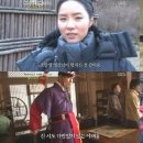 뿌리깊은나무 이미지