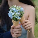 경기도 수원시 영통구 매봉로 | [부케] 수원 영통 ❝고은꽃부케전문점❞ 인심 가득한 꽃집 추천 / 부케 PDF 시안 공유