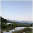 지리산뷰 이미지