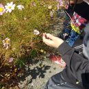 이백초등학교 이미지