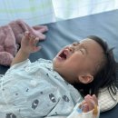 슬아어린이집 | 27개월아기 폐렴, 고열로 다산 아이맘아동병원 1인실 입원, 그리고 디피실리균 진단